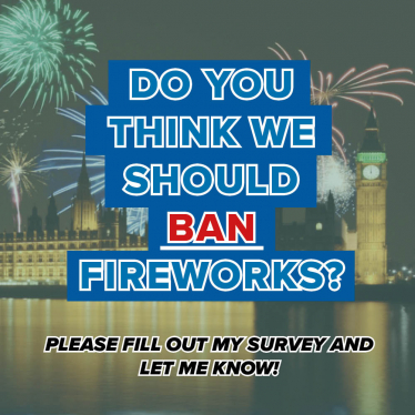ban fireworks graphic