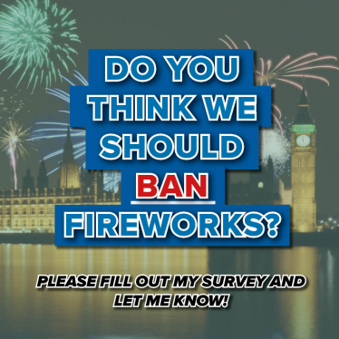Should we ban fireworks